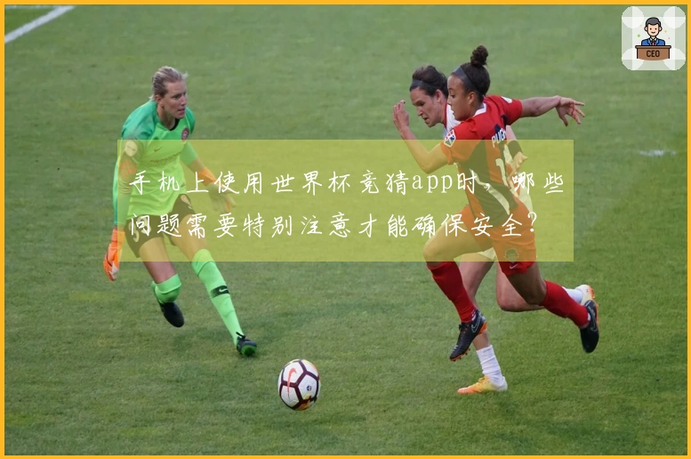 手机上使用世界杯竞猜app时，哪些问题需要特别注意才能确保安全？