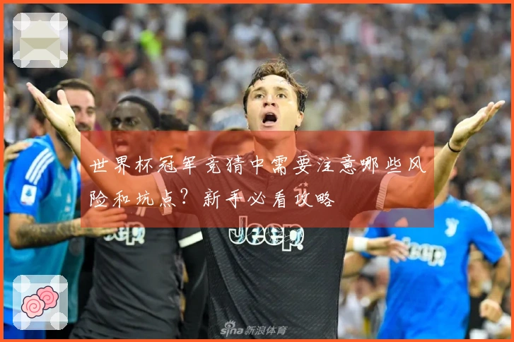 世界杯冠军竞猜中需要注意哪些风险和坑点？新手必看攻略
