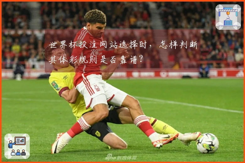 世界杯投注网站选择时，怎样判断其体彩规则是否靠谱？