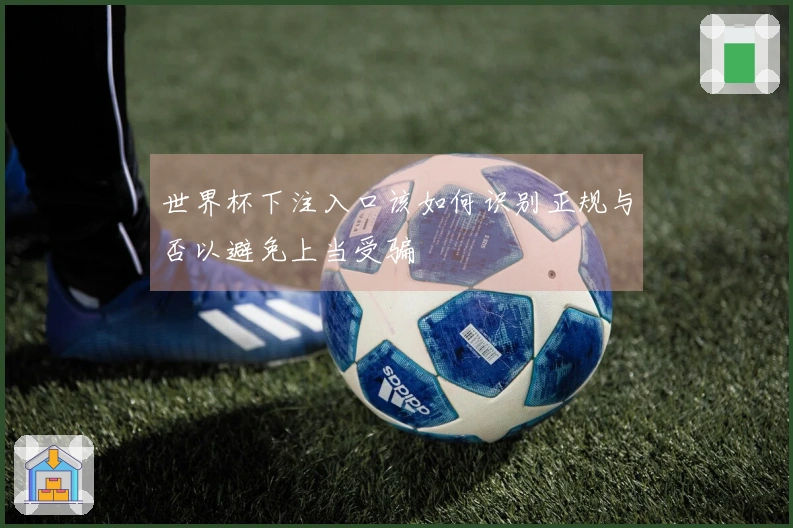 世界杯下注入口该如何识别正规与否以避免上当受骗